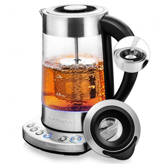 Electric Tea Kettle With Tea Infuser and Temperature Control