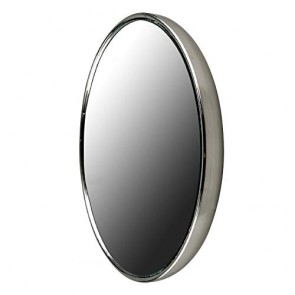 Ovente Round Mirror, 3 Inches, 10× Magnification, Back Magnet, Brushed Nickel (M100BR10x) 