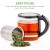Ovente Glass Tea Kettle 27oz, With Tea Infuser for Loose-Leaf Tea, Compatible With KG612S (FGK27B)